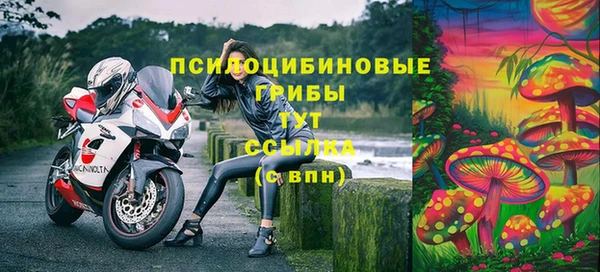 винт Богданович